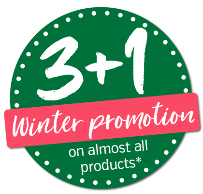 3+1 Winter promotion 2025