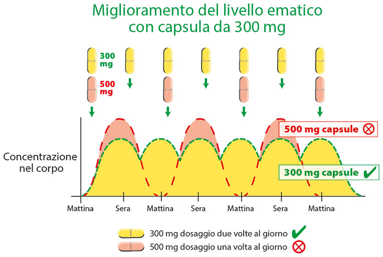 Quercetina plus C