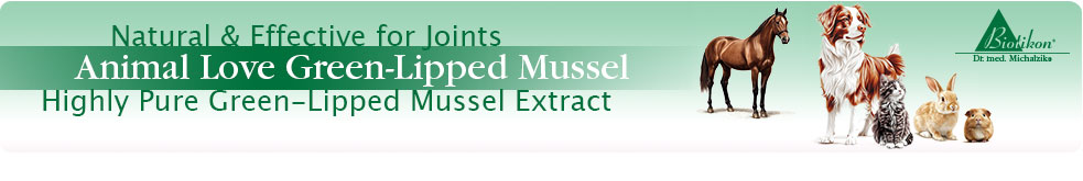 Animal Love Green-Lipped Mussel