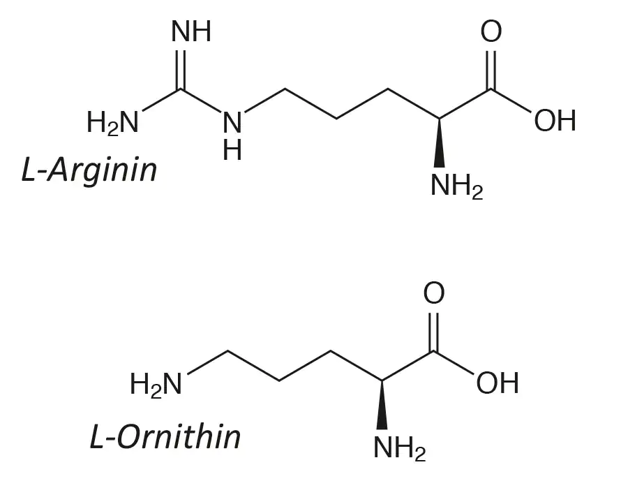 Arginine + Ornithine structural formulas